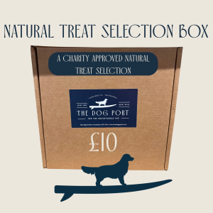 £10 Treat A Dog While They Wait