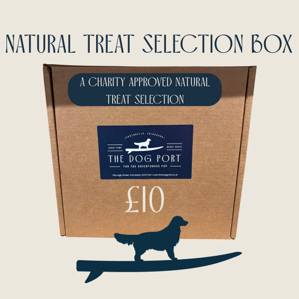 £10 Treat A Dog While They Wait