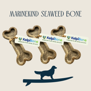 Seaweed Kelpi Bone