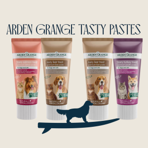 Tasty Pastes