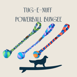 Powerball Bungee